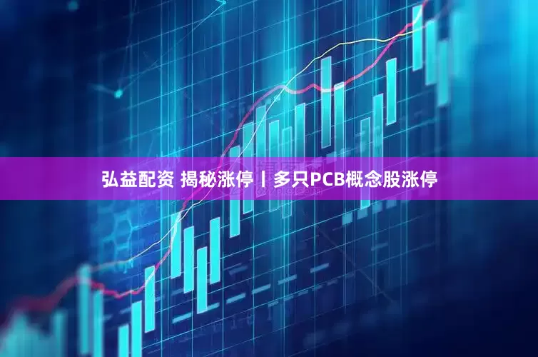 弘益配资 揭秘涨停丨多只PCB概念股涨停