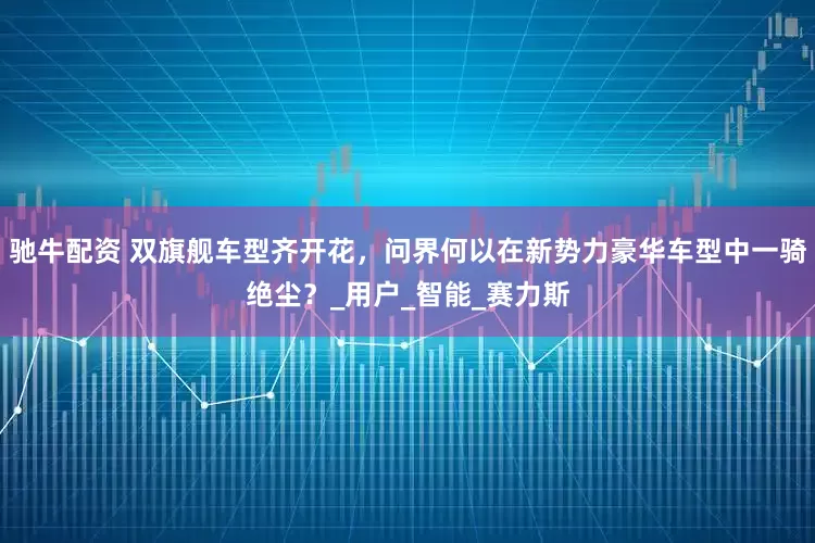 驰牛配资 双旗舰车型齐开花，问界何以在新势力豪华车型中一骑绝尘？_用户_智能_赛力斯