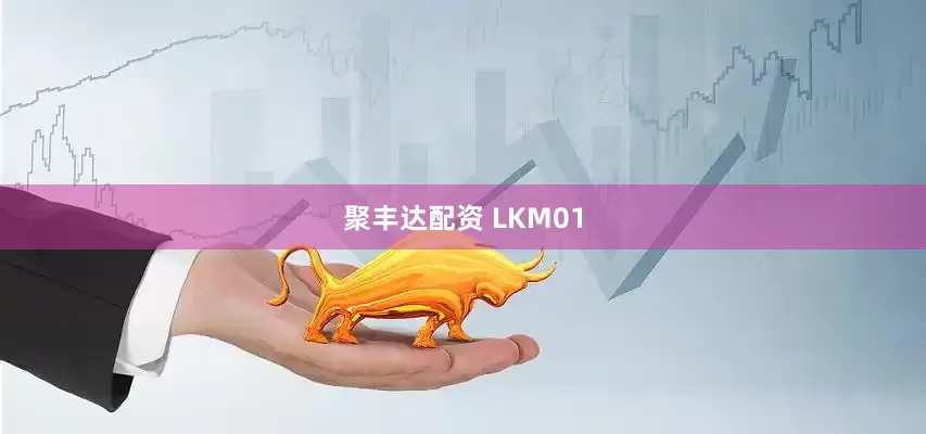 聚丰达配资 LKM01
